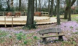 Opening of new woodland garden at Haven House