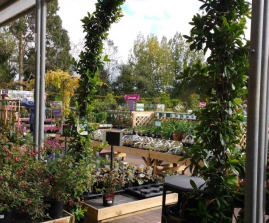 Perrywood Garden Centre & Nurseries