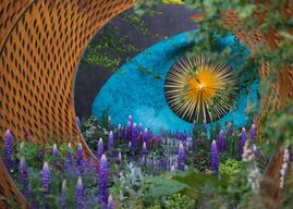 RHS Chelsea flower show