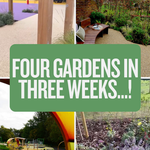 A Million Thanks – Greenfingers Charity Celebrates a Landmark Year