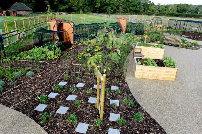 Creating a Sensory Garden at Home