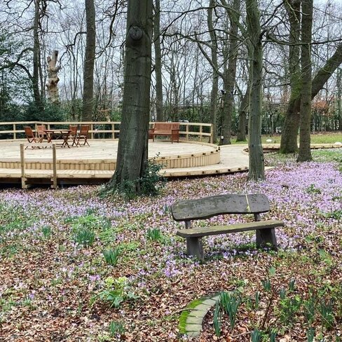 FIRST SIGNS OF SPRING IN NEW GREENFINGERS GARDENS