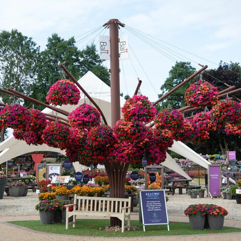 Growing Hope: A Partnership in Bloom