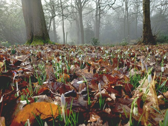 Harnessing the power of nature