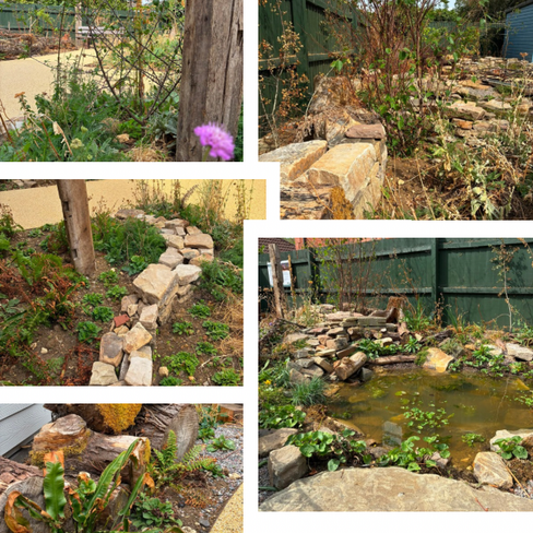 Migration of the ‘Lifted by Birds’ garden now complete