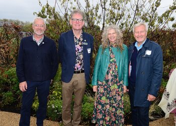 Bluebell Wood - The Together Garden