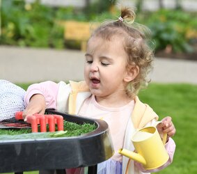 Chestnut Tree – Kitchen Garden
